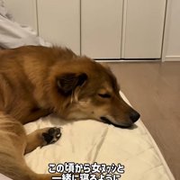 ママと寝るラッキーくん