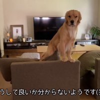 戸惑っています