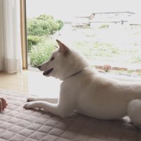 ノリノリで芸を披露中