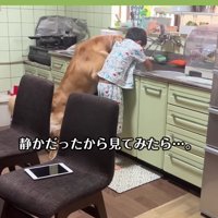 静かだと思ったら…？