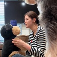 ぬいぐるみを可愛がる女性を見て立ち止まる犬