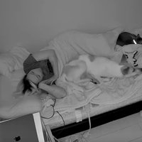 まめちゃんがむっくりと起床