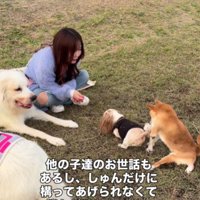 仲間もたくさんいるよ