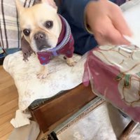 おばあちゃんの隣でのんびり