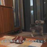 「来た…！」と大喜び