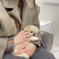 出会った