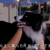 また唸っています…