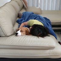 疲れ果ててすやすや…