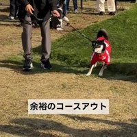 「障害物競走」もコースアウトで失格