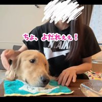 桃を食べるコロッケくん4