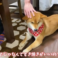 もらえなくて不満そう…