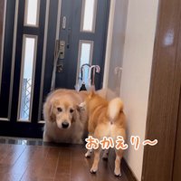 帰宅後のニオイチェック