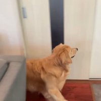 サンちゃんの熱烈歓迎2