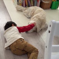 撫で撫で