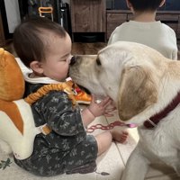 どさくさ