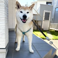 シュッ