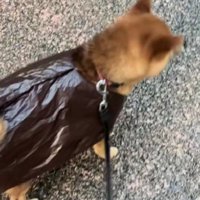 とっても似合ってる！！