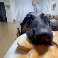 「上手にお留守番できたよ！」