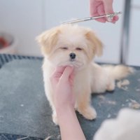 思わずウトウト…