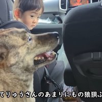 男の子も呆れ気味（笑）