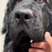 口元に壁紙が…