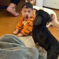 尊い