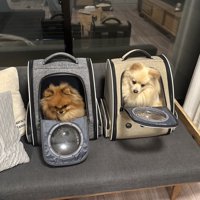 立て籠もり