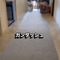 何を持ってきてくれるかな？