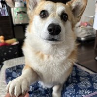 おて