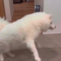 キャッチ失敗しちゃった！！