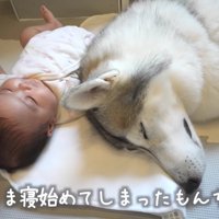 癒されすぎてお昼寝