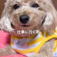 ころもちゃん