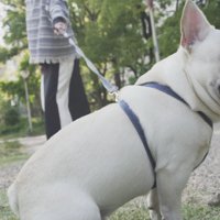 帰る気ゼロ！