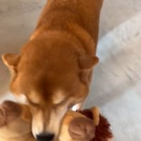 「おかえり！待ってたよ」