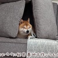 かまくらの中でクールダウン