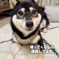 パパの彼女ですから！
