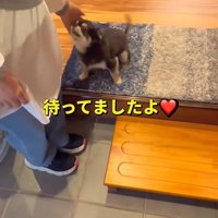 しっぽをブンブン♪