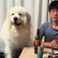 そっと寄り添うfamくん