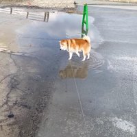 思ってたより深い…！！