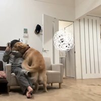 ハナコちゃんとお姉ちゃんの再会6