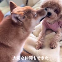 友情の大切さも知った