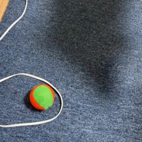 コード結界に大困惑！？