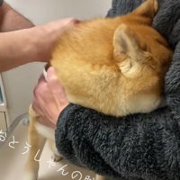 思わずパパの腕の中へ