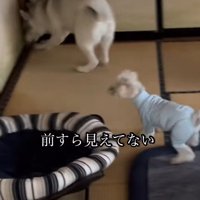 壁に激突することも