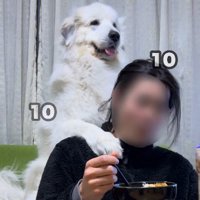 パンチを連発！