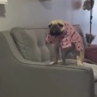 おでんちゃんがブチギレ！！