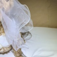 ドレスを着せてみたら…