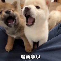 第2回戦開始！