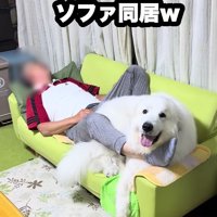 満面の笑みで満足げ