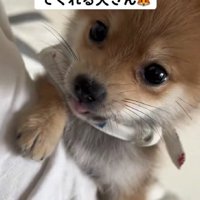 「ママは寝てるんだから、起こしちゃダメ！」